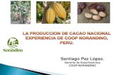 EXPERIENCIA DE DIVERSIFICACIÓN · Comercialización al mercado nacional e internacional de café, cacao y panela granulada (azúcar ecológica). Microcréditos. Capacitación.