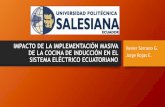 IMPACTO DE LA IMPLEMENTACIÓN MASIVA DE LA … · impacto de la implementaciÓn masiva de la cocina de inducciÓn en el sistema elÉctrico ecuatoriano xavier serrano g. jorge rojas