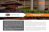 NEGOCIOS RURALES INCLUSIVOS - iccoca.orgiccoca.org/media/publicaciones/5.pdf · zonas rurales de Guatemala, Honduras y Nica-ragua, que trabajan los rubros café, ... tades para desarrollar