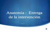 Anatomía - Entrega de la intervención - Mexico UNAM … · Punto de partida para plantear una intervención SRevisión de literatura STeoría que guíe la intervención (Teoría
