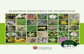 Plantas silvestres de Pamplona - … · Especies herbáceas 26 Especies de grandes hierbas 27 Orquídeas 27 FICHAS 29 BIBLIOGRAFÍA Y FUENTES UTILIZADAS 73. PLANTAS SILVESTRES DE