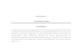 CAPÍTULO I INTRODUCCIÓN RESUMEN - Repositorio de la Universidad de Fuerzas Armadas ESPE: Página de …repositorio.espe.edu.ec/bitstream/21000/1692/2/T-ESPE-021748-1.pdf · así