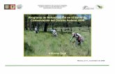 Informe Final de Reforestación 2006 - na-148-243-232 …na-148-243-232-112.static.avantel.net.mx/corena/descargas/... · Informe final del Programa de Reforestación en el Suelo