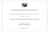 DIRECCIÓN GENERAL DEL ARCHIVO NACIONAL … · “Rendir un informe anual a la Dirección General del Archivo Nacional sobre el ... informes de desarrollo archivístico presentados