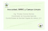 Inocuidad, SRRC y Campo Limpio - Comité Estatal de ...cesavejal.org.mx/divulgacion/exportacionc/PonenciaInocuidad.pdf · •Cuadrilla de Fumigación : Triple Lavado, BUMA, calibración