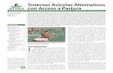 Sistemas Avícolas Alternativos ATTRA con Acceso a …ecoterra.cl/wp-content/uploads/2016/02/avicolas_accesso11.pdf · de especialidad de aves sin jaula y la producción de aves libres