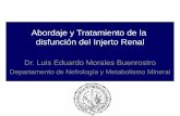 Abordaje y Tratamiento de la disfunción del Injerto Renal · Abordaje y Tratamiento de la disfunción del Injerto Renal Dr. Luis Eduardo Morales Buenrostro Departamento de Nefrología