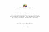 NIVELES DE VULNERABILIDAD A AMENAZAS …repositorio.uchile.cl/tesis/uchile/2004/aq-sarricolea_p/pdfAmont/... · La expansión urbana de los estratos socioeconómicos más bajos ha