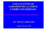 CARIBE COLOMBIANA CAMARON EN LA COSTA … · OBJETIVO Evaluar la evolución del sector camaronero de la Costa Caribe, su contribución al desarrollo de la economía de la región