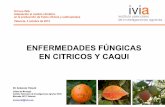ENFERMEDADES FÚNGICAS EN CITRICOS Y CAQUI · EN CITRICOS Y CAQUI XI Foro INIA Adaptación al cambio climático en la producción de frutos cítricos y subtropicales Valencia, 3 octubre