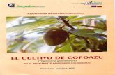 bibliotecadigital.agronet.gov.cobibliotecadigital.agronet.gov.co/bitstream/11348/4907/1/Cultivo de... · EL CULTIVO DE COPOAZU (Theobroma grandiflorum) EN EL PIEDEMONTE AMAZONICO