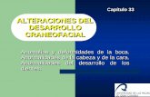 ALTERACIONES DEL DESARROLLO CRANEOFACIAL · CapCapítulo 33ítulo 33 ALTERACIONES DEL DESARROLLO CRANEOFACIAL ALTERACIONES DEL DESARROLLO CRANEOFACIAL Anomalías y deformidades de