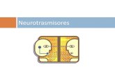 Neurotrasmisores - Guía de Bioquímica · Neuronas preganglionares simpático y parasimpático Neuronas posganglionares parasimpático . Receptores Muscarínicos •Células efectoras