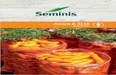 Abaco & 3118 - seminislas.s3.amazonaws.comseminislas.s3.amazonaws.com/wp-content/uploads/2017/01/Zanahoria... · Zanahoria 3118 Para lograr una buena zanahoria ... la fertilización.