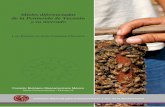 Mieles diferenciadas de la Península de Yucatán tancia de ...bioteca.biodiversidad.gob.mx/janium/Documentos/6513.pdf · y material para consolidar y distribuir lotes de talla comercial