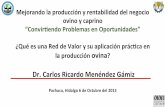 Mejorando)la)producción)y)rentabilidad)del)negocio ...€¦ · Cadena de Valor de Ovinos, México. 2003 y 2009. Fuente: Plan Rector. Sagarpa, 2003 y 2009. PROVEEDORES DE INSUMOS