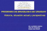 PROGRAMA DE BRUCELOSIS EN URUGUAY - … · PROGRAMA DE BRUCELOSIS EN URUGUAY Historia, situación actual y perspectivas DR. ALFREDO GARIN Jefe de Programa DGSG-DSA-MGAP. URUGUAY SUPERFICIE: