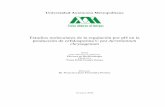 Estudios moleculares de la regulación por pH en la ...148.206.53.84/tesiuami/UAMI14258.pdf · 6.8.4 Aislamiento de ADN plasmídico de Escherichia coli ... 6.8.4.1 Lisis alcalina