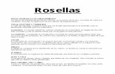 Estandar Rosella Español - Aviario IndaloCanindalocan.com/revistas/erosellas.pdf · talla, postura y condicion La talla del ejemplar a enjuiciar tiene que ser la talla mencionada