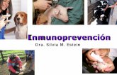 Dra. Silvia M. Estein - vet.unicen.edu.ar · El concepto Enfermedad infecciosa daño (lesiones) respuesta inmunitaria Vacunación . Vacuna ideal • Eficaz • Memoria duradera •