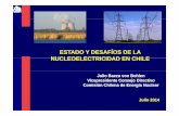 ESTADO Y DESAFÍOS DE LA …las-ans.org.br/PDF2014/Panel 1 - Julio Baeza - July21 1145-1315.pdf · • Hidrometalurgia de Uranio (piloto) Hidrometalurgia de Uranio (piloto) --19811981