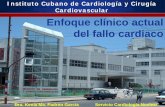 Instituto Cubano de Cardiología y Cirugía …nucleus.iaea.org/HHW/NuclearMedicine/CardiovascularandPulmonary/IA... · Enfoque Terapeútico Estado Hemodinámico . Volumen . Clasificación