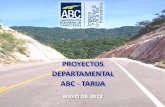 PROYECTOS DEPARTAMENTAL ABC - TARIJAtarija.gob.bo/documentos/plan-vial-departamental-2012/plan-vial... · Túnel Falda la Queñua Palo Marcado ...