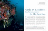 Oasis en el océano - aquaticcommons.orgaquaticcommons.org/16710/2/CienciaHoy2006_16_92_44.pdf · con adormecer el ánimo del observador. ... Al igual que en el ecosistema terrestre,