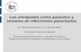 Los artrópodos como parásitos y vectores de infecciones ... · Típica lesión ulcerativa no supurativa, cubierta por escara carbuncosa ( tache noire ), producida por la mordedura