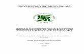 UNIVERSIDAD RICARDO PALMA - urp.edu.pe Biondi.pdf · La productividad de la oca es baja debido a que se siembra en condiciones de secano y está sujeta a granizadas, sequías y heladas
