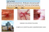 UNIDAD COLOPROCTOLOGÍA COMPLEJO … · fisura anal “ Úlcera lineal que afecta al anodermo distalmente a la lÍnea dentada ... estenosis) clasificaciÓn . fisura anal aguda . inspección: