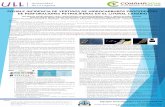 Presentación de PowerPoint - conama11.vsf.es 2016... · Contención de los hidrocarburos mediante barreras, cercos e interceptadores, 8. Recuperación de los hidrocarburos derramados
