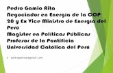 Pedro Gamio Aita Negociador en Energía de la COP …d3nehc6yl9qzo4.cloudfront.net/downloads/pedrogamio28092015.pdf · Gas - Electricidad 1993 2003 2013 2014 Usuarios con GN 0 0 162