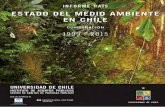 ESTADO DEL MEDIO AMBIENTE EN CHILE - …€¦ · 5.2.1 Pérdida y degradación de los suelos 247 ... INORME PAÍS ESTADO DEL MEDIO AMBIENTE EN CHILE 5.4.2.2 Sistema de Incentivos