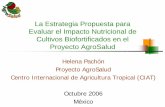 La Estrategia Propuesta para Evaluar el Impacto ...ciat-library.ciat.cgiar.org/Articulos_Ciat/Pachón_Mexico_oct 2006.pdf · El Problema Las deficiencias de micronutrientes en la