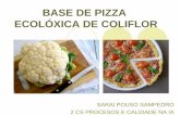 BASE DE PIZZA ECOLÓXICA DE COLIFLOR - … DE PIZZA... · PRINCIPAIS DIFERENCIAS COA COMPETENCIA Valor nutricional da coliflor en comparación co da masa de pizza tradicional A coliflor