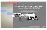 ENTRENAMIENTO DE FUERZA EN JUDO - …dspace.umh.es/bitstream/11000/3403/1/TFG Mira Antón, Pablo.pdf · diferencias entre judocas de élite y de menor nivel en la fuerza isométrica