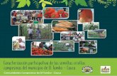 Caracterizacion participativa de las semillas criollas ...€¦ · del Tambo eran autosuficientes, sus parcelas eran biodiver-sas, sostenibles y se constituían como la despensa para