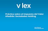 Añadido: Sociedades Holding Práctico sobre el …spanish.vlexblog.com/wp-content/uploads/2015/05/P.-IVA-Blog-.pdf · les proporciona bienes y servicios que factura a estas ... hubiera