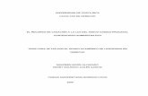 UNIVERSIDAD DE COSTA RICArepositorio.sibdi.ucr.ac.cr:8080/.../1638/1/30224.pdf · 2014-09-16 · CONTENCIOSO-ADMINISTRATIVO TESIS PARA OPTAR POR EL GRADO ACADÉMICO DE LICENCIADO