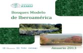 Anuario 2013 - Bosques Modelo de Iberoamérica … · Anuario 2013 – Bosques Modelo de Iberoamérica 4 de la Nación, del que participan articulando acciones el Programa Nacional