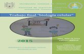 Trabajo final “biología celular” · 2015 trabajo final “biología celular” dra. ana olivia caÑas urbina integrantes: celorio samayoa fco. javier gordillo aguilar eduardo