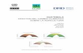 EFECTOS DEL CAMBIO CLIMÁTICO SOBRE LA …portal.sat.gob.gt:8080/documentos/Guatemala1.pdf · los de los ámbitos económicos y sociales, sobre la urgencia de enfrentar el reto de