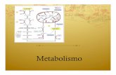 Metabolismo clase 26 de marzo 28 de marzocursosdrarodriguez.weebly.com/uploads/1/0/2/1/10218223/metabolismo... · Tres de las rutas más ampliamente usadas son la ruta Embden-Meyerhof