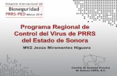MVZ Jesús Miramontes Higuera · Se estableció protocolo de Bioseguridad para vehículos y choferes que transportan cerdos en los rastros ... Diapositiva 1 Author: Mariajose Created