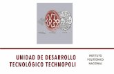 Unidad de Desarrollo Tecnológico TechnoPoli · UNIDAD DE DESARROLLO ... • 1 Centro de EstudiosTecnológicos • 26 Escuelas de Nivel Superior ... Estudio de mercado ...