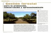 forestales Gestién forestal - mapama.gob.es · Consejo de Manejo Forestal y el PEFC (Paneuropea Forest Certification), sistema, este último, adoptado ... (Montes 1 y 2 del CUP de