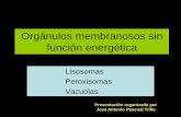 Orgánulos membranosos sin función energética - japt.esjapt.es/bio2bach/CITOLOGIA/Organulos membranosos no energeticos.pdf · oxidativas tales como la catalasa y la urato oxidasa.