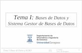 Tema I: Bases de Datos y Sistema Gestor de Bases de …webdiis.unizar.es/asignaturas/BD/transparenciasBD/PDFs_1x1/leccion... · Tema I: Bases de Datos y SGBD S. Velilla 2 Univ. de