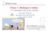 Tema 7. Biología Celular - dpbiologia.weebly.comdpbiologia.weebly.com/uploads/2/1/5/5/21553524/gtp_t7.biología... · Tema 7. Biología Celular 7.1 Introducción a las células Germán